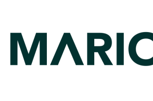 mariobet bonus